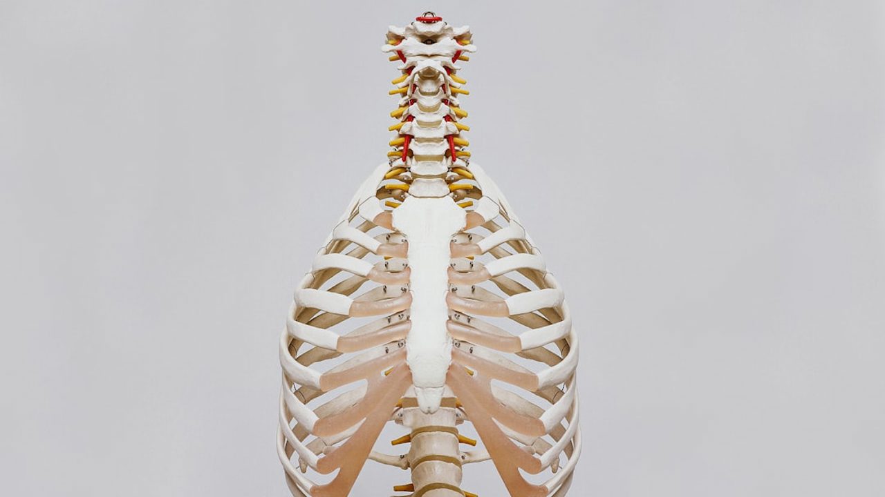 Thoracic Space