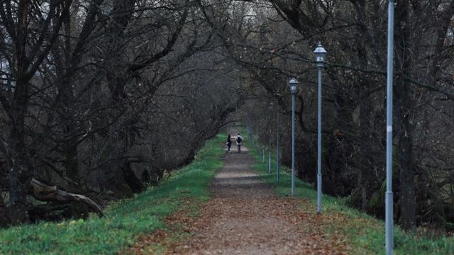 How to Reduce Injury Risk for Beginner Runners: Form, Pace, and Training Load