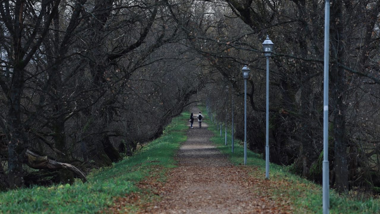How to Reduce Injury Risk for Beginner Runners: Form, Pace, and Training Load