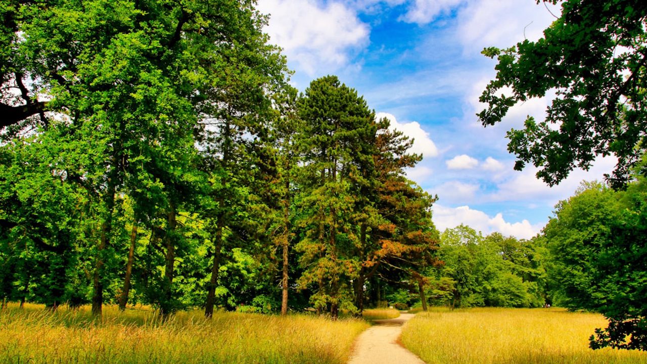 Sanssouci Park, Potsdam (Brandenburg): a विशाल landscape park on the UNESCO list; you can walk among tree-lined paths, pools, and Prussian architecture