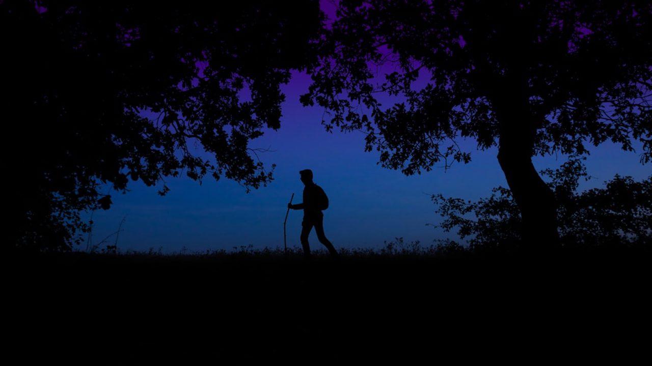 How to Balance Blood Sugar: Nutrition and Daily Habits