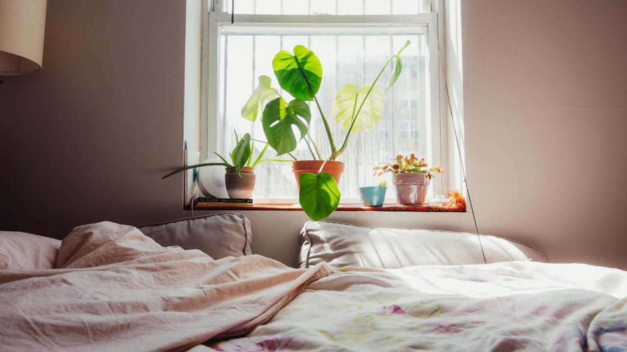 What Is a Daily Healthy Lifestyle Routine and How to Create One?