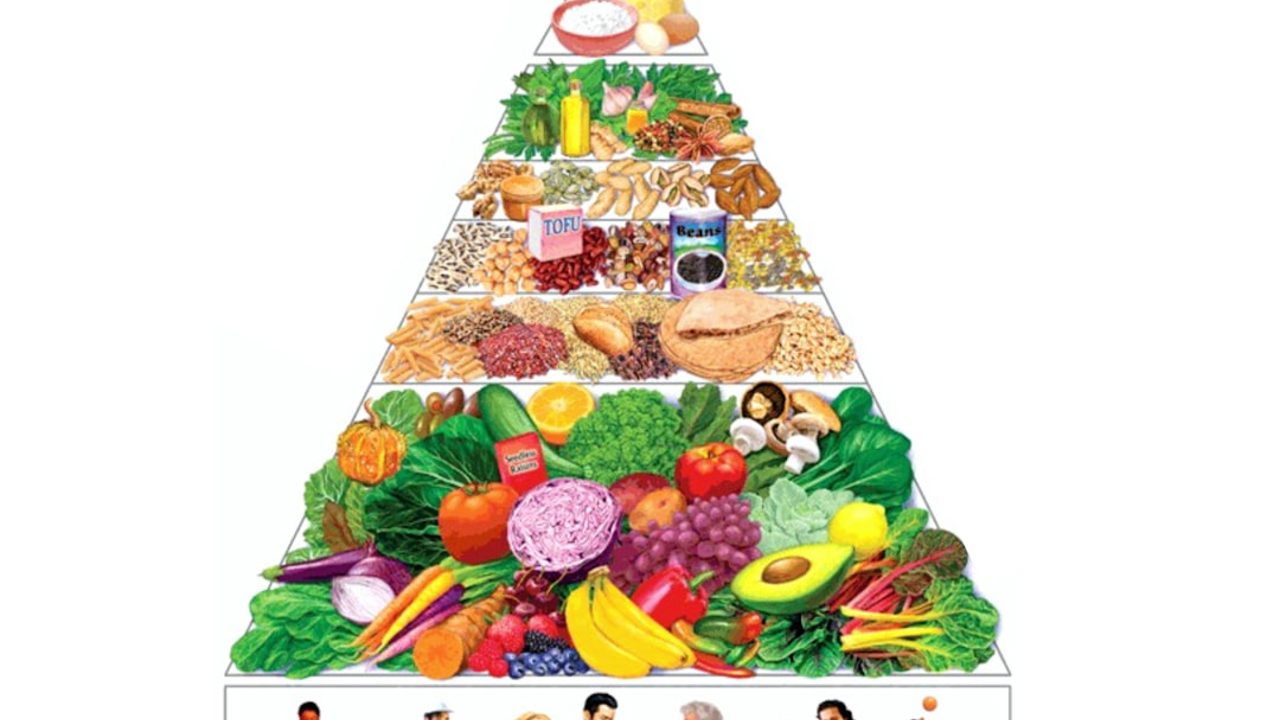 What Is Healthy Living? Nutrition, Exercise, Sleep, Stress Management, and Habits