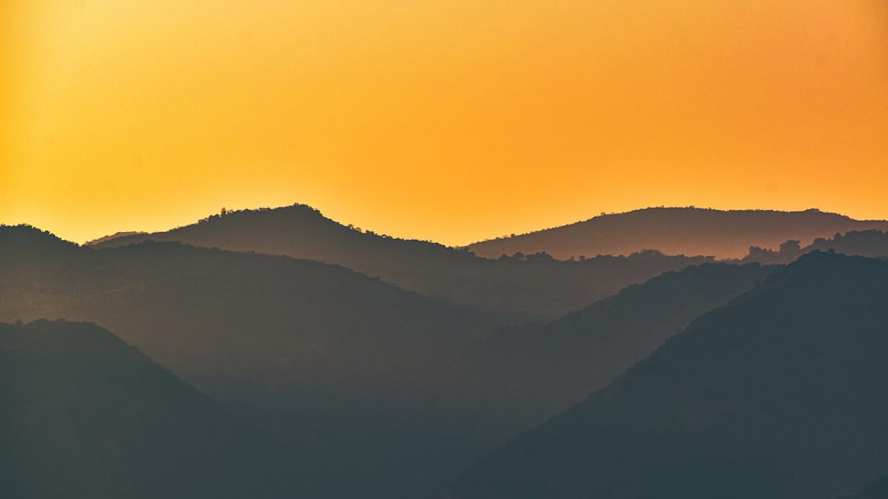 Golden hour 